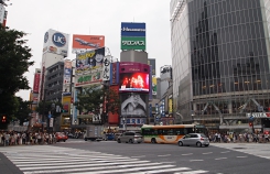 shibuya_vision_01.jpg